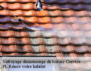 Nettoyage demoussage de toiture 19 Corrèze  FL Rénov votre habitat