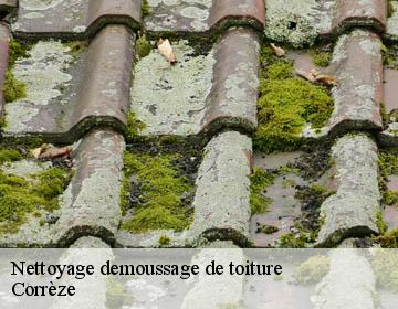 Nettoyage demoussage de toiture Corrèze 