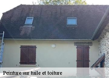 Peinture sur tuile et toiture