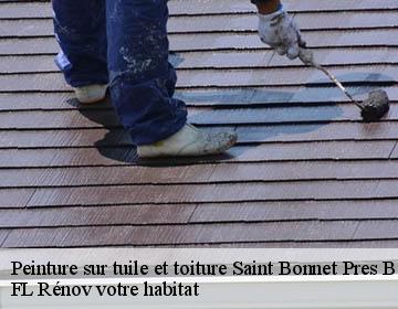 Peinture sur tuile et toiture  saint-bonnet-pres-bort-19200 FL Rénov votre habitat