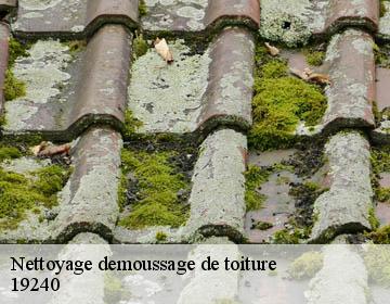 Nettoyage demoussage de toiture  19240