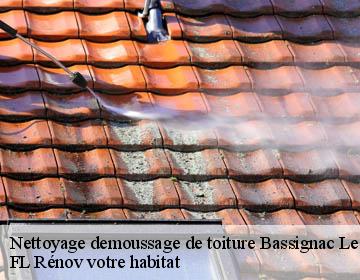 Nettoyage demoussage de toiture  bassignac-le-bas-19430 FL Rénov votre habitat