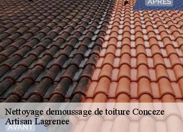 Nettoyage demoussage de toiture  conceze-19350 Artisan Lagrenee