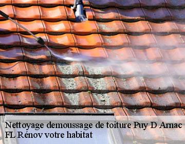 Nettoyage demoussage de toiture  puy-d-arnac-19120 FL Rénov votre habitat