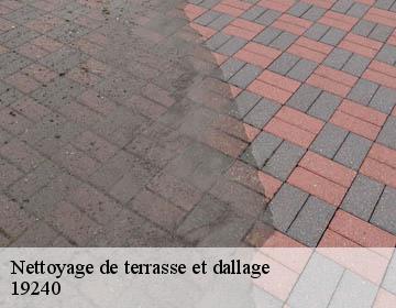 Nettoyage de terrasse et dallage   19240