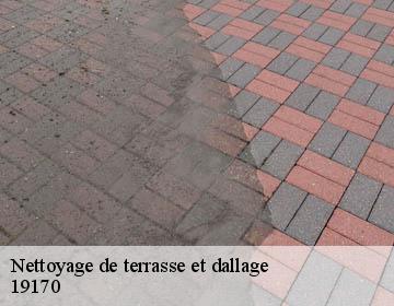 Nettoyage de terrasse et dallage   19170